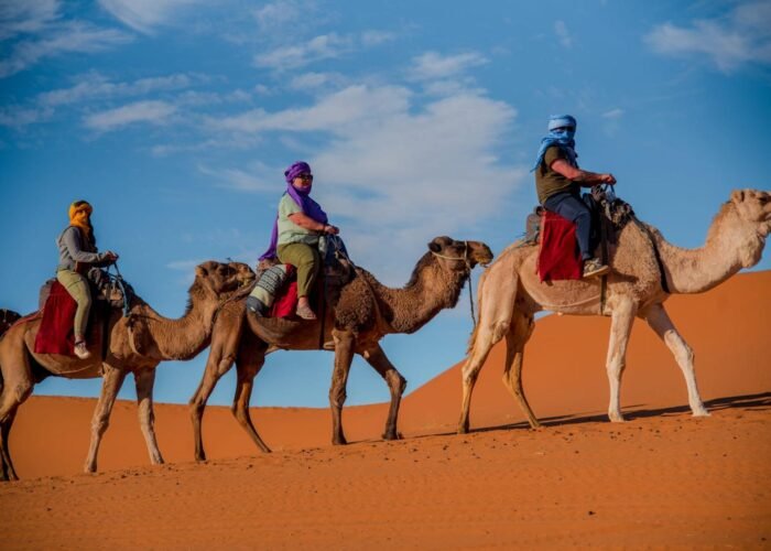 Fez to Merzouga desert 2-day tour via the High Atlas mountains